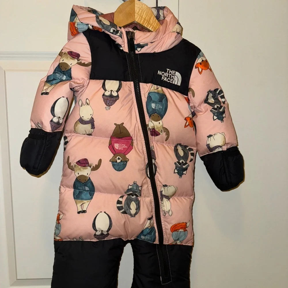 The north face baby retro nuptse one piece - Picture 1 of 2